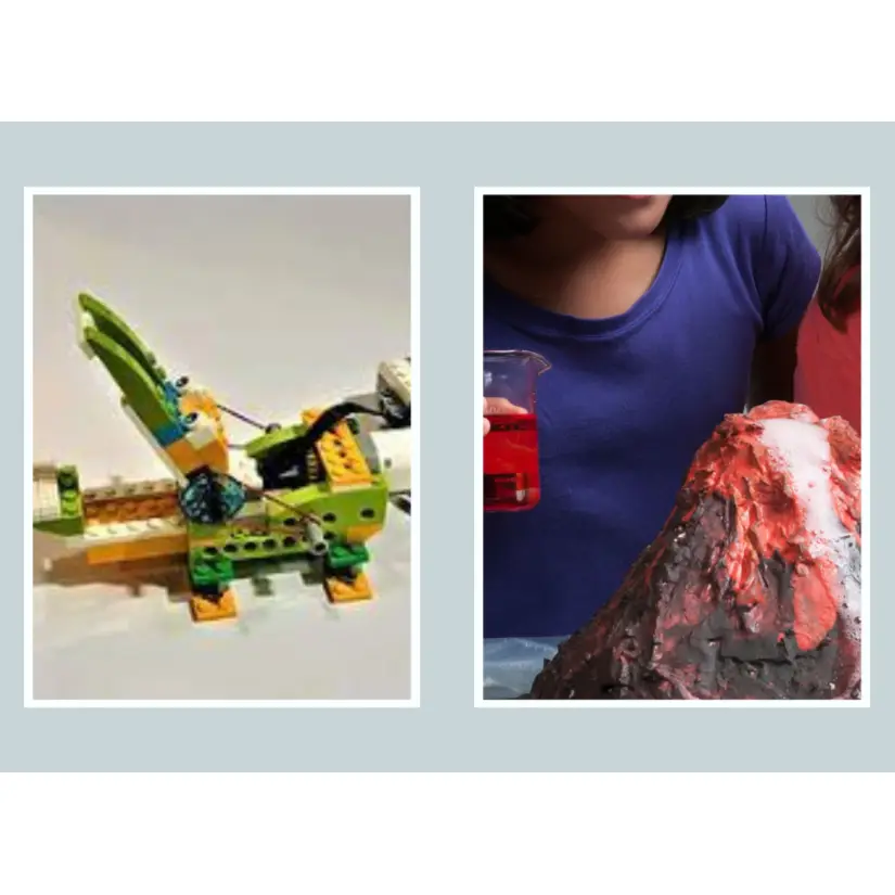 Summer Camp 2024 (Full Day) : Jungle Book - Robotics / Crazy Chemistry
