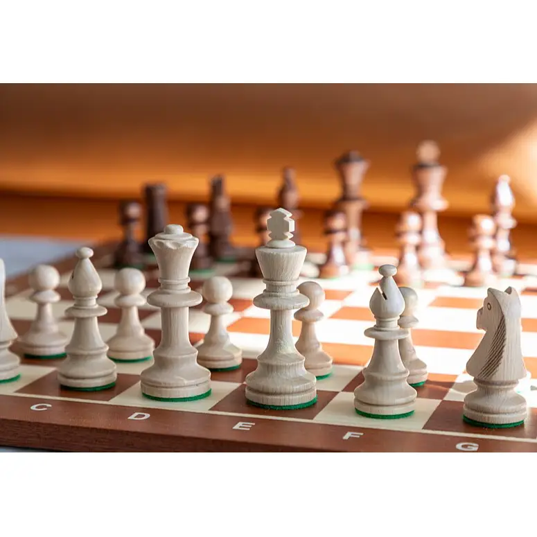 Princeton Summer Camp 2025 (Half Day) : Chess