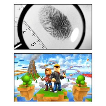 Princeton Camp 2025:Forensic Science/Roblox Game Design