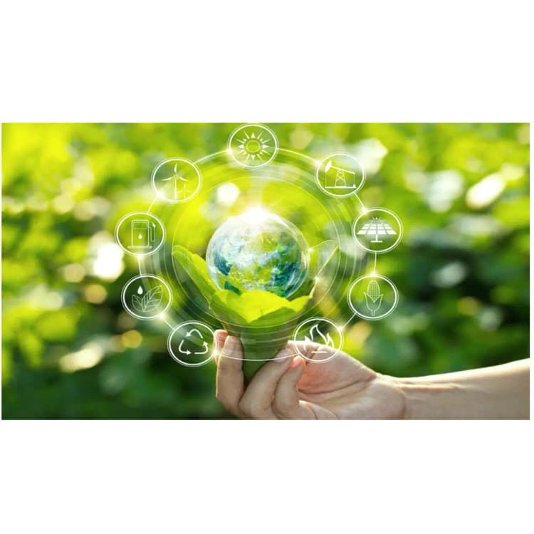 Princeton Summer Camp 2025 (Half day) : Green Tech